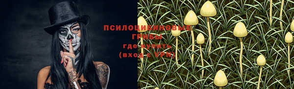спиды Баксан