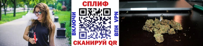 Бошки марихуана THC 21%  mega вход  Буинск 